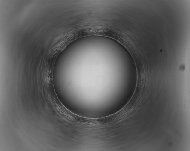 X0000116771250200912171525