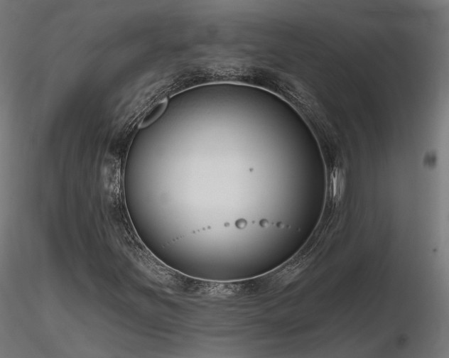 X0000116771251200912171525