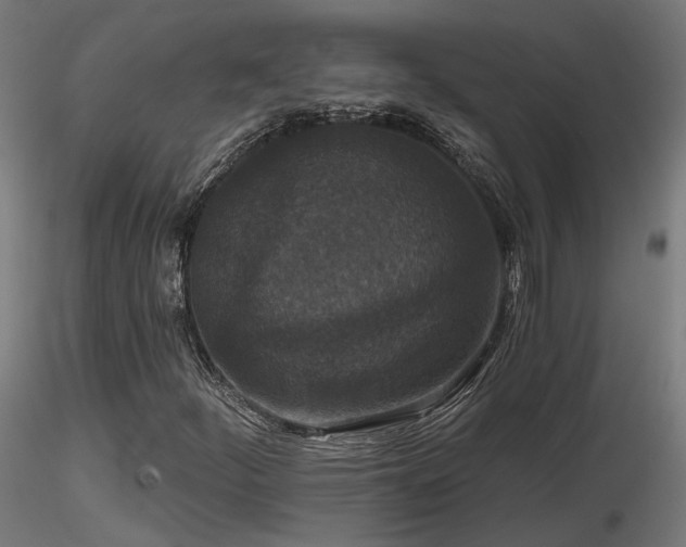X0000116771252200912171525