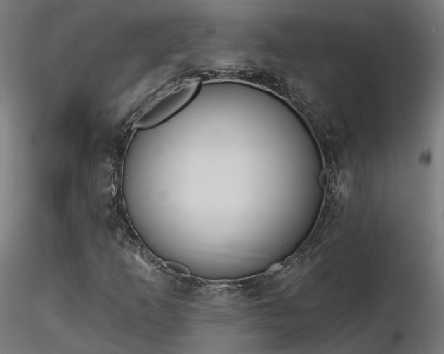 X0000116771253200912171525