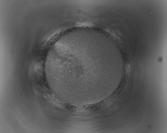 X0000116771254200912171525