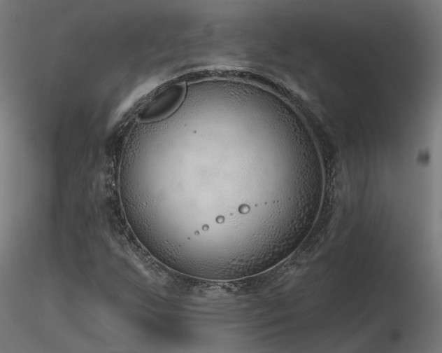X0000116771255200912171525