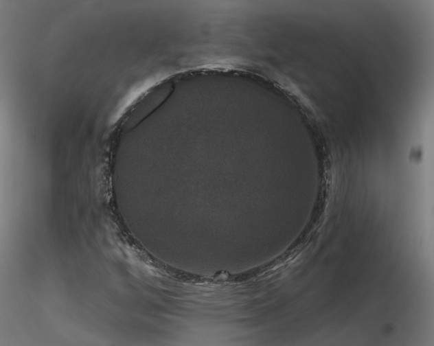 X0000116771256200912171525