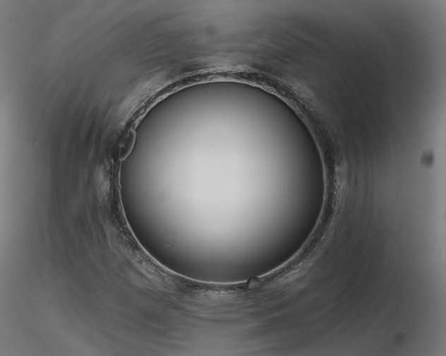X0000116771257200912171525