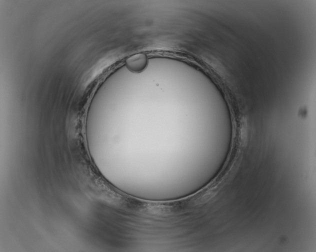 X0000116771258200912171525