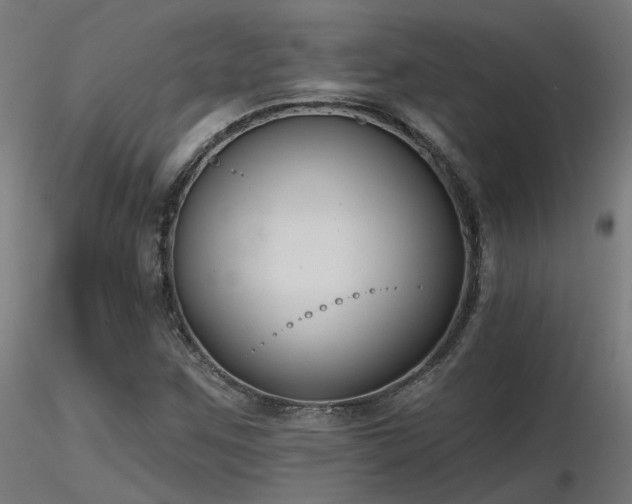 X0000116771259200912171525