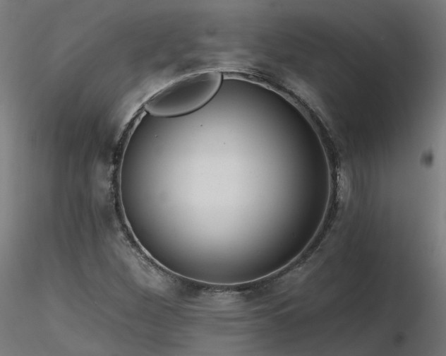 X0000116771260200912171525