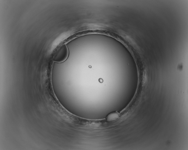 X0000116771261200912171525