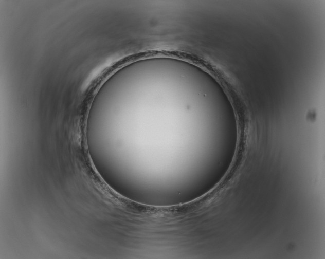 X0000116771262200912171525