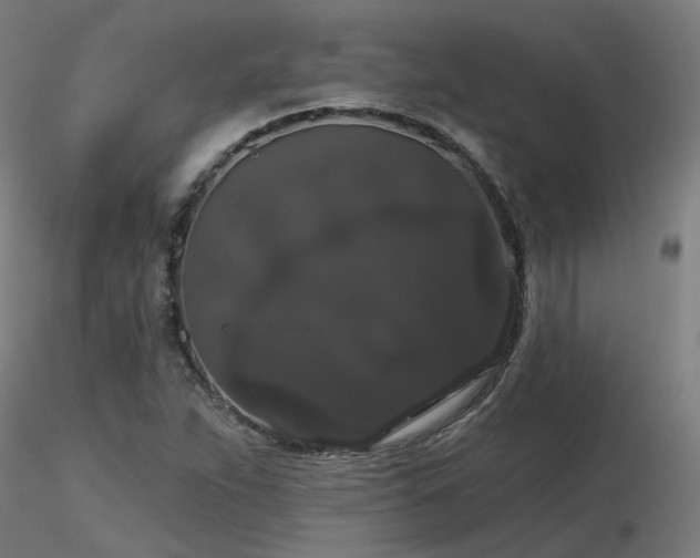 X0000116771263200912171525