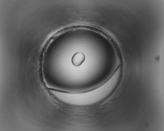 X0000116771264200912171525