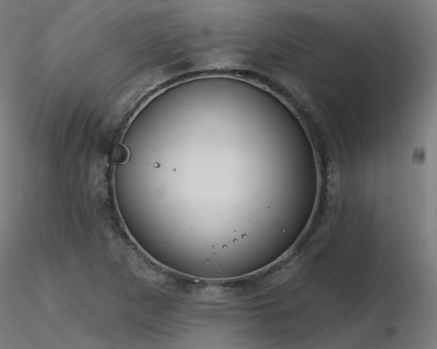 X0000116771265200912171525