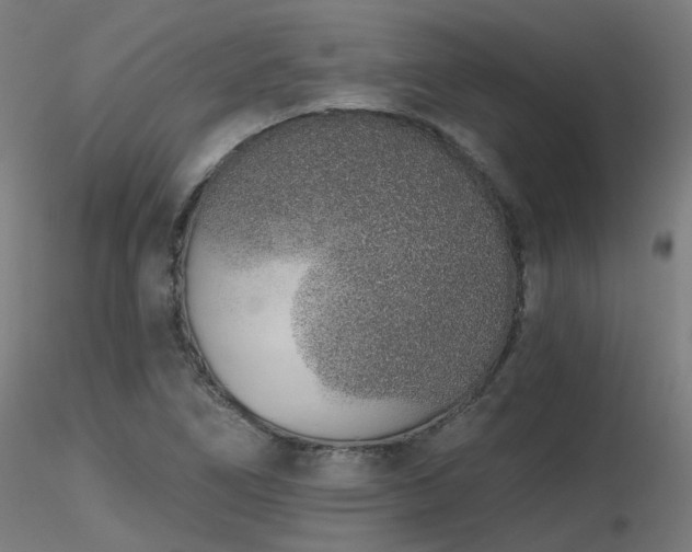 X0000116771266200912171525