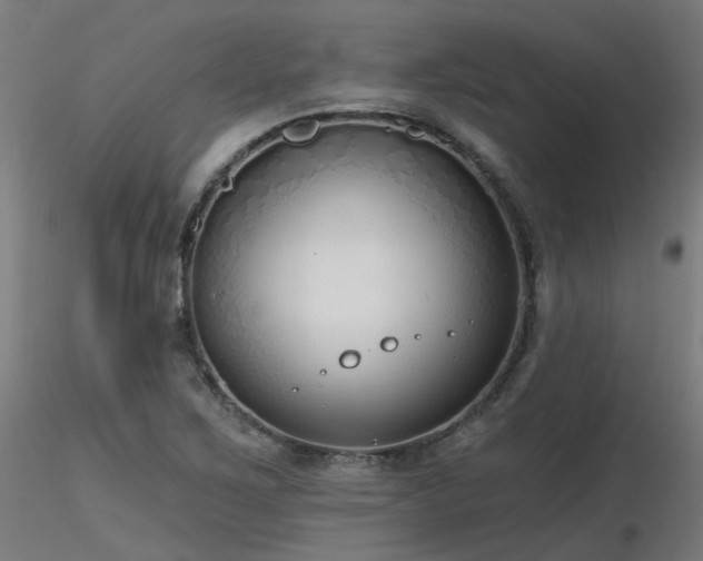 X0000116771267200912171525