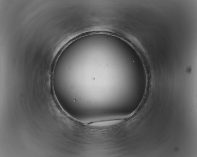 X0000116771268200912171525