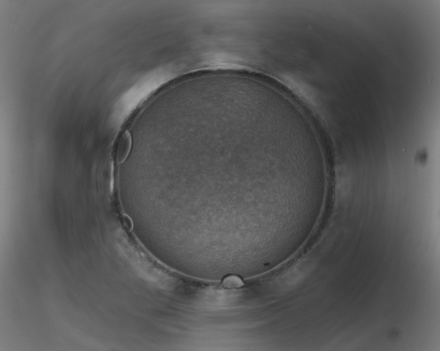X0000116771269200912171525