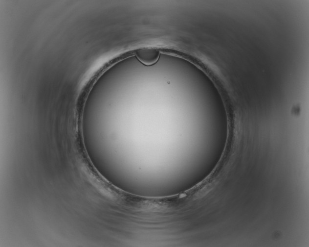 X0000116771270200912171525