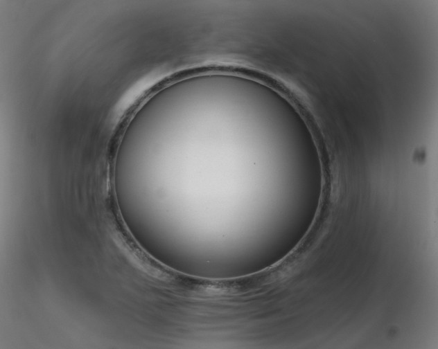 X0000116771271200912171525