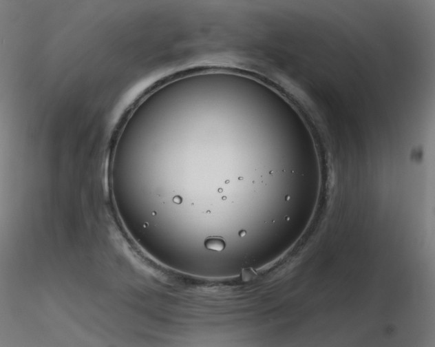 X0000116771272200912171525