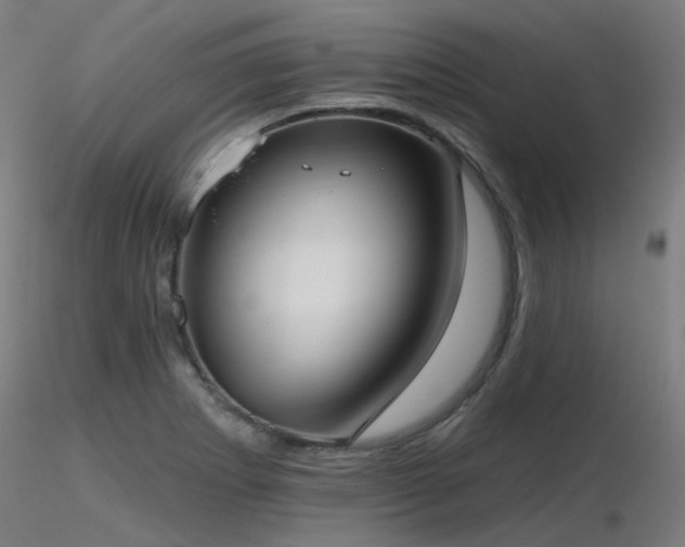 X0000116771273200912171525