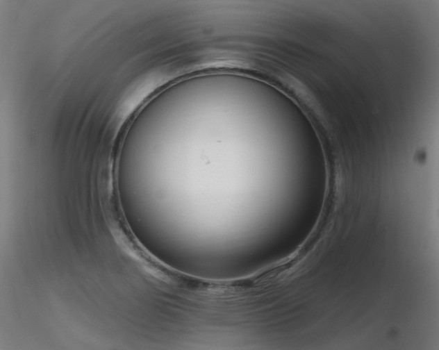 X0000116771274200912171525