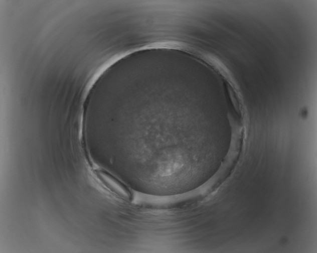 X0000116771276200912171525