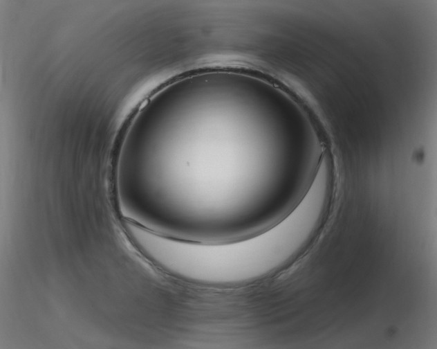 X0000116771277200912171525