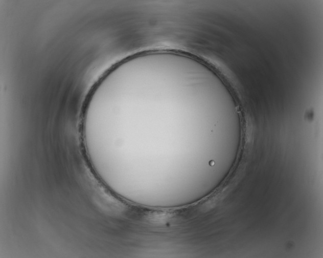 X0000116771278200912171525