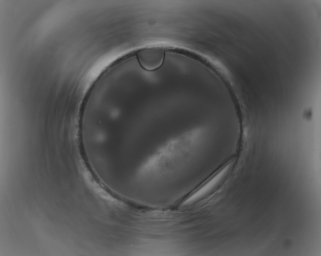 X0000116771279200912171525