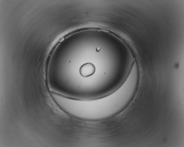 X0000116771280200912171525