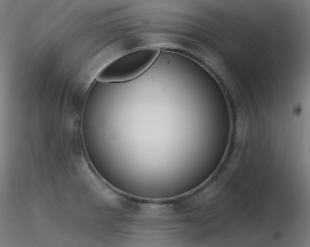 X0000116771281200912171525