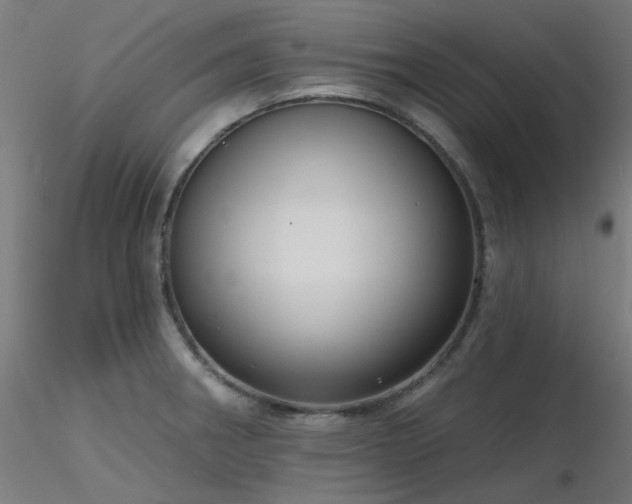 X0000116771282200912171525
