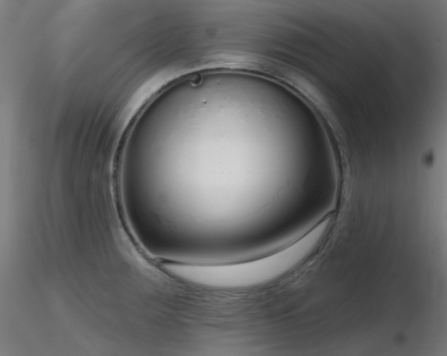 X0000116771283200912171525