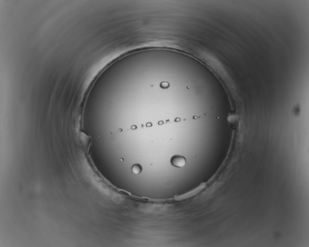X0000116771284200912171525