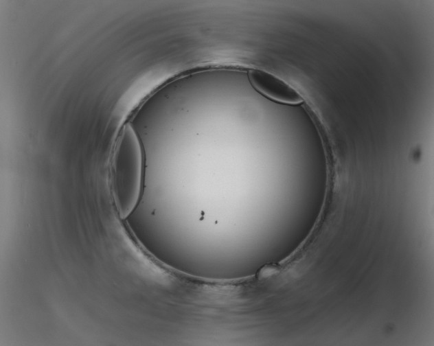 X0000116771285200912171525