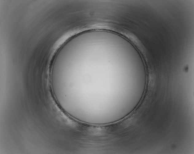 X0000116771286200912171525