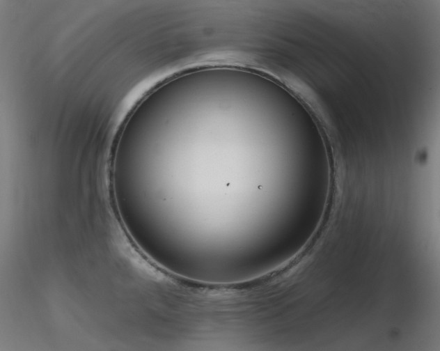 X0000116771288200912171525