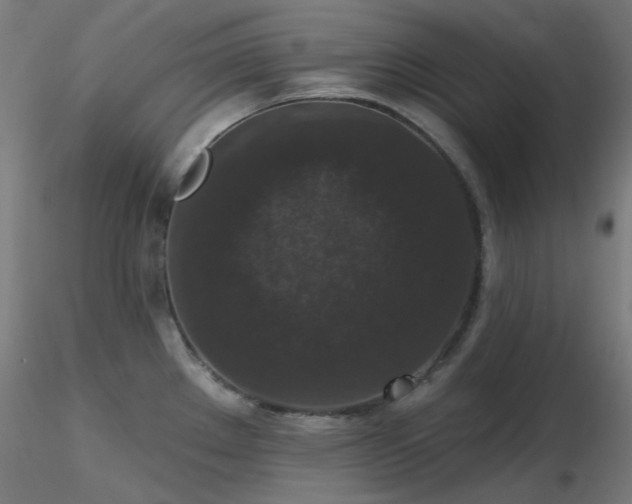 X0000116771289200912171525