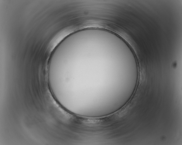 X0000116771290200912171525