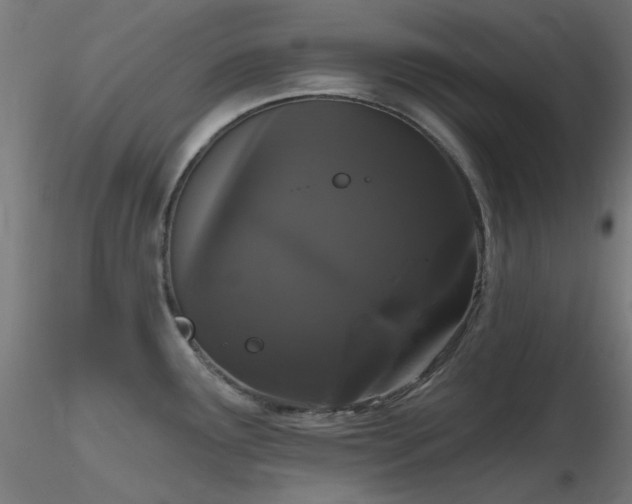 X0000116771291200912171525