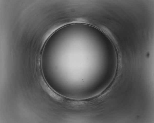 X0000116771292200912171525