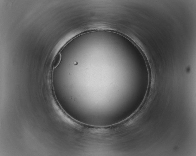 X0000116771293200912171525