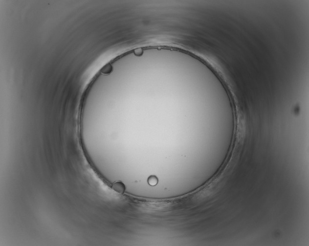 X0000116771294200912171525