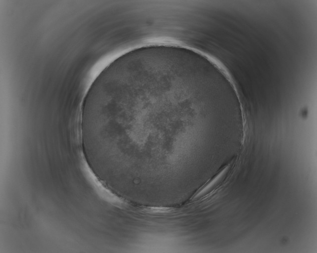 X0000116771295200912171525