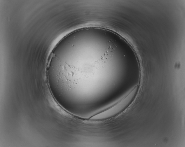 X0000116771296200912171525