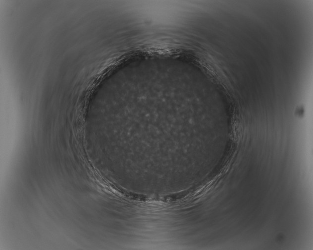 X0000116771297200912171524