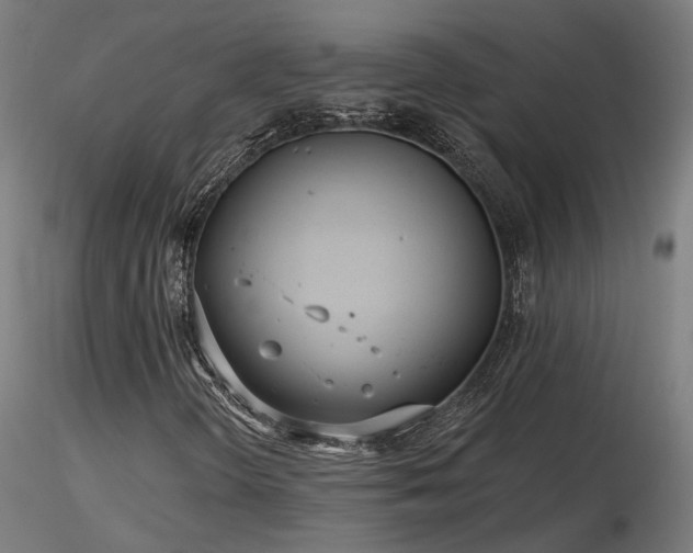 X0000116771298200912171524