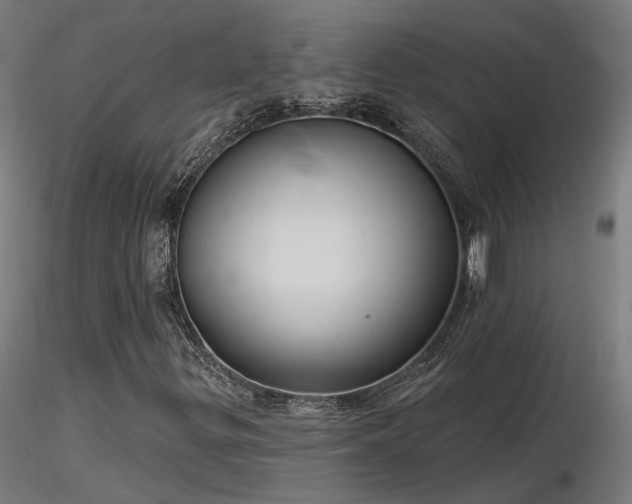 X0000116771299200912171524