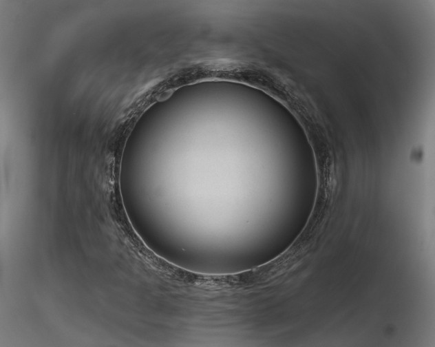 X0000116771301200912171524