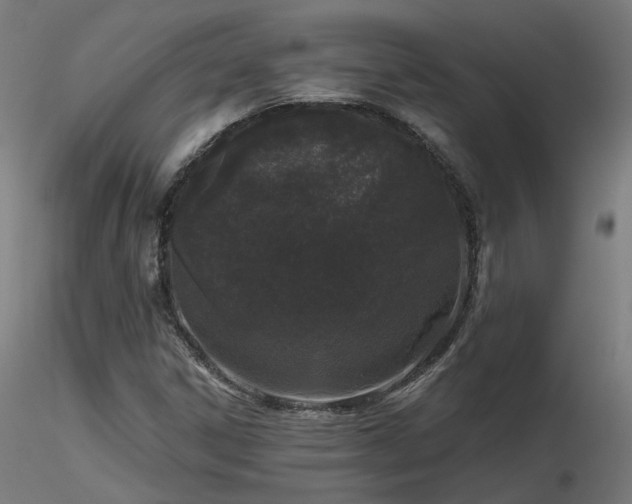 X0000116771306200912171524